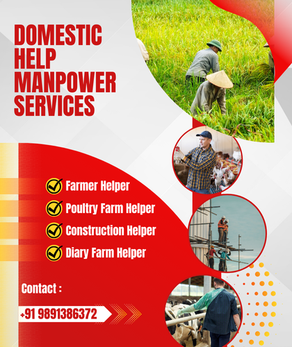 domestic service